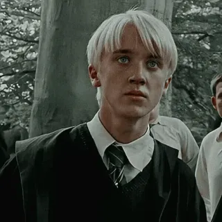 🐾 Draco Malfoy Harry Potter 드레이코 말포이, 해리 포터, 마법사, 캐릭터, 영화, 필름 telegram sticker