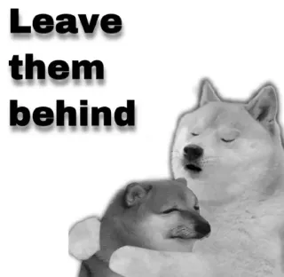 😂 Leave
them
behind doge, meme, déjalos atrás, perros, triste telegram sticker