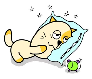 💤 고양이, 졸린, 자명종, 베개, 귀여운, 만화, 동물, 피곤한 telegram sticker
