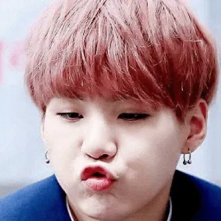 😽 telegram sticker