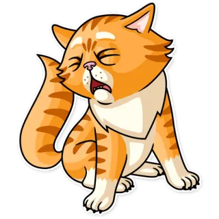 😩 แมว, สีส้ม, สติกเกอร์, สัตว์ตระกูลแมว, สัตว์, สัตว์เลี้ยง, การ์ตูน whatsapp sticker