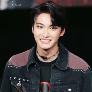 ✨ for the idols. người, kpop, idol, người đàn ông, nụ cười, châu Á telegram sticker