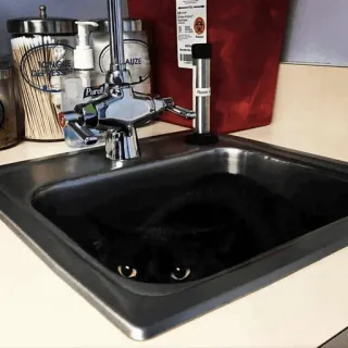 🌚 cat, black cat, sink, hiding, eyes, pet telegram sticker