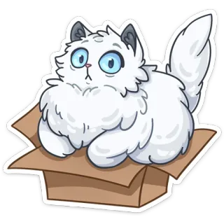 😟 cat, box, animal, kitten, white cat, pet telegram sticker