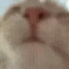 😮💨