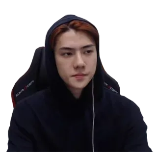 😒 Sehun kpop, chanteur, sehun, exo, idol, célébrité whatsapp sticker