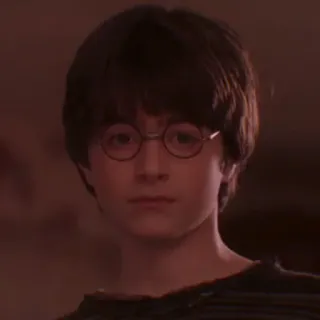 🦁 Harry Potter Harry Potter, Daniel Radcliffe, Mago, Magia whatsapp sticker
