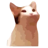 😼