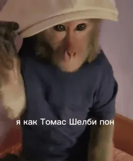 Стикеры @stickrubot @textmeru_bot whatsapp stickers