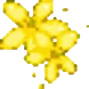 🌼