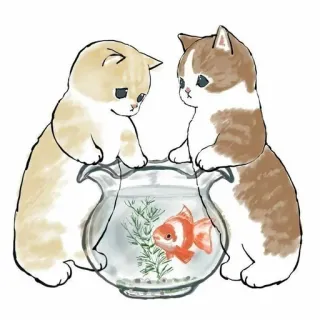💗 koty, kotek, ryba, akwarium, słodkie, zwierzęta, zwierzak telegram sticker