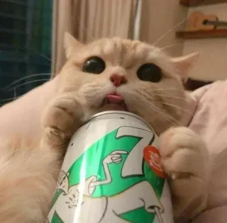 😻 7 Up gato, fofo, refrigerante, língua, engraçado, bebida telegram sticker