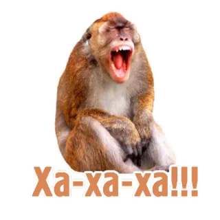 😆 Xa=xa=xa!!! scimmia, ridere, meme, divertente telegram sticker