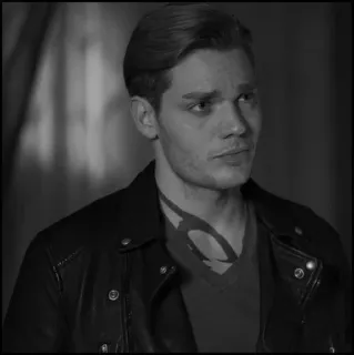 🍺 Jace Herondale Shadowhunters shadowhunters, jace herondale, dom sherwood, série, livro, personagem telegram sticker