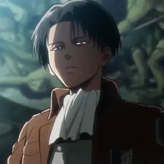 ⚔ Levi Ackerman Attack on Titan attack on titan, levi, anime, tentara, militer, karakter telegram sticker