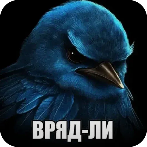 memes