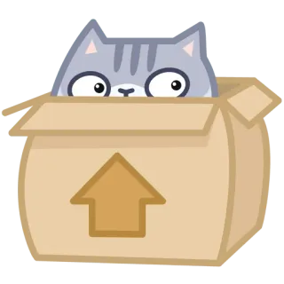 📦 gato, caixa, seta, animal, fofo telegram sticker