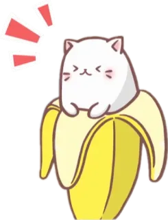 😣 고양이, 바나나, 귀여운, 카와이, 스티커 telegram sticker