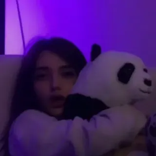 🥺 persona, mujer, interior, panda, peluche, retrato telegram sticker
