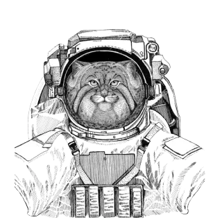 🌌 gatto, astronauta, animale, spazio, casco, illustrazione, carino telegram sticker