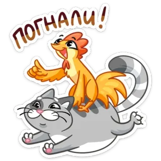 🚀 погнали! 猫, 鸡, 动物, 卡通 telegram sticker