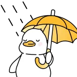 ☔️ duck, umbrella, cute, cartoon, animal, bird whatsapp sticker