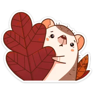 😬 เม่น, สัตว์, น่ารัก, ฤดูใบไม้ร่วง, ใบไม้, ฤดูใบไม้ร่วง, การ์ตูน telegram sticker