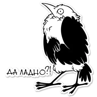 😧 ДА ЛАДНО?! 새, 만화, 러시아어, 키릴 문자, 질문, 놀람 telegram sticker