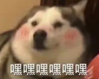 ☺️ 嘿嘿嘿嘿嘿嘿嘿 perro, husky, meme, lindo, animal, emoji telegram sticker