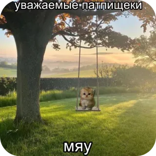 😺 уважаемые патпищеки
мяу 猫, 子猫, ブランコ, 木, かわいい, ミーム, ロシア語テキスト telegram sticker