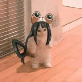 🐸 Tsuyu Asui My Hero Academia cat, anime, My Hero Academia, Tsuyu Asui, funny, costume telegram sticker