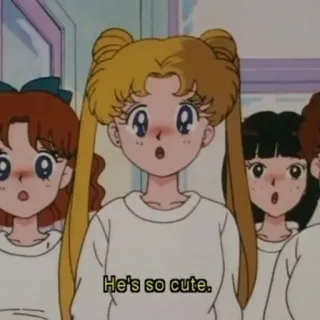😍 Sailor Moon He's so cute. anime, imut, Sailor Moon, kartun whatsapp sticker