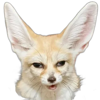 FopsButNoBackground telegram stickers