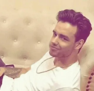 ✨ Liam Payne celebrity, singer, one direction, portrait telegram sticker