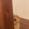 👀