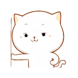 👍 gato, lindo, pegatina, animal, gato blanco, dibujos animados telegram sticker