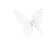 🦋
