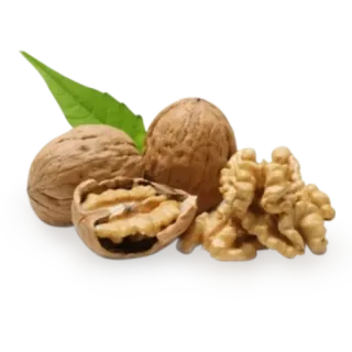 🍗 nuez, frutos secos, comida, saludable, aperitivo, ingrediente telegram sticker