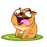 ๐คช hond, mopshond, cartoon, dier, grappig telegram sticker