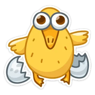 🐣 pintinho, filhote de pássaro, desenho animado, animal, recém-nascido, páscoa, fofo whatsapp sticker