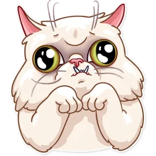 🥺 gato, pegatina, lindo, animal, dibujo animado telegram sticker