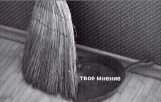 😏 твое мнение broom, dustpan, opinion, trash, cleaning telegram sticker