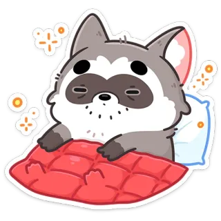 😊 szop, zwierzę, sen, słodki, poduszka, koc whatsapp sticker