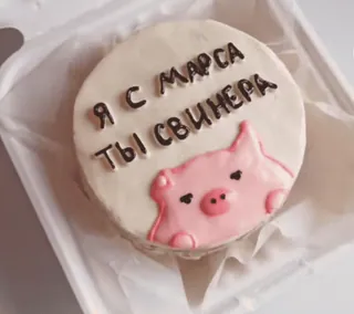 🐷 Я С МАРСА, ТЫ СВИНЕРА cake, bento cake, pig, cute, dessert, pink, meme, funny telegram sticker