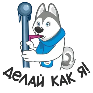 😛 Hund, Husky, Cartoon, Tier, Winter, Schal telegram sticker