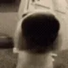 👃