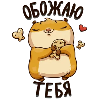😘 обожаю тебя Hamster, Liebe, süß, entzückend, Tier, russisch telegram sticker