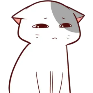 😞 mèo, dễ thương, buồn, động vật, nhãn dán telegram sticker