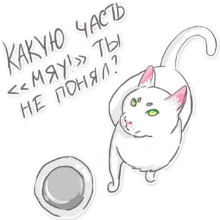 🍔 КАКУЮ ЧАСТЬ "МЯУ" ТЫ НЕ ПОНЯЛ? gato, animal, lindo, gracioso, mascota, gatito, blanco telegram sticker