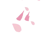 🌸